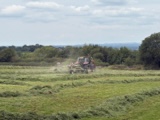 Hay time