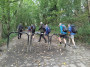 Climbing the hill on the Guild Wheel