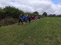 Cow Hill fields