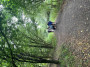 In Brockholes nature reserve