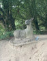 Deer sculpture