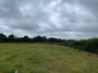 The cows didn't move luckily