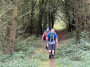 Into the woods