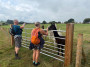 Hello to the Alpacas