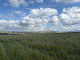 Moorland view