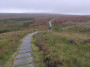 Along the path