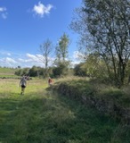 Still on the way to Hawkshaw