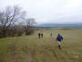 Fields Fields