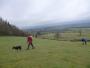 Fields Fields