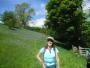 Barbara and Bluebells Barbara and Bluebells