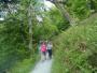 Striding out in woodland Striding out in woodland