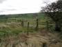 View of the Wolds View of the Wolds