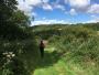 Into Snipe Dale Into Snipe Dale