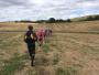 The stubble field goes on and on The stubble field goes on and on