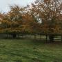 Autumn colours Autumn colours