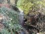 Spot the dog? Spot the dog?