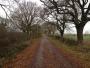 Ideal walking conditions Ideal walking conditions