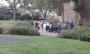 the group in St Martins Gardens the group in St Martins Gardens