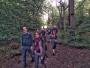 A walk in the woods... A walk in the woods...