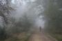 Mists and mellow fruitfulness Mists and mellow fruitfulness