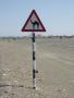 22 Somehow don't think this was spotted in Surrey.. 22 Somehow don't think this was spotted in Surrey..