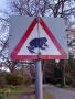 23 Beware of the giant toad! 23 Beware of the giant toad!