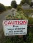 31 Beware of the wildlife in Hertfordshire!