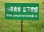 09 Now, if the grass were red could you trample on it? 09 Now, if the grass were red could you trample on it?