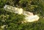 12 Believed to be near Kirkby Stephen, Cumbria ... 12 Believed to be near Kirkby Stephen, Cumbria ...