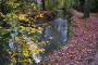 Dollis Brook Dollis Brook