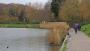 Highgate ponds Highgate ponds