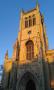  St Marks' Church Tower, Myddelton Square in late afternoon sunshine