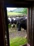 Meet the neighbours Meet the neighbours