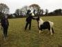 Chris attempting to get his hand bitten off by a small horse. Chris attempting to get his hand bitten off by a small horse.