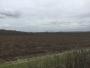 London Gateway in the distance London Gateway in the distance