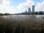 Woodberry Wetlands Woodberry Wetlands