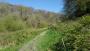 Hangers Way near Hawley Hangers Way near Hawley