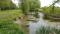 Shingay Moat Shingay Moat