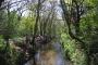 The brook in Wimbledon Common The brook in Wimbledon Common