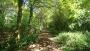 The brook-side path on Wimbledon Common The brook-side path on Wimbledon Common