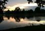 Embracing the dying of the light - Heron Pond Bushy Park Embracing the dying of the light - Heron Pond Bushy Park