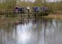 Crossing the Chess River Crossing the Chess River