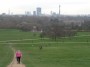 Primrose Hill Primrose Hill