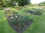 Rose Garden, Ranger's House Rose Garden, Ranger's House