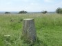 Trig at 83 metres, the walk's highest point Trig at 83 metres, the walk's highest point