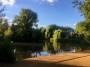 Barnes Pond Barnes Pond
