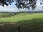 Downland views Downland views