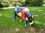  Colourful cow