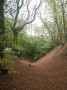 The Hurtwood Forest The Hurtwood Forest