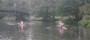 Rowers on Wey Navigation Rowers on Wey Navigation